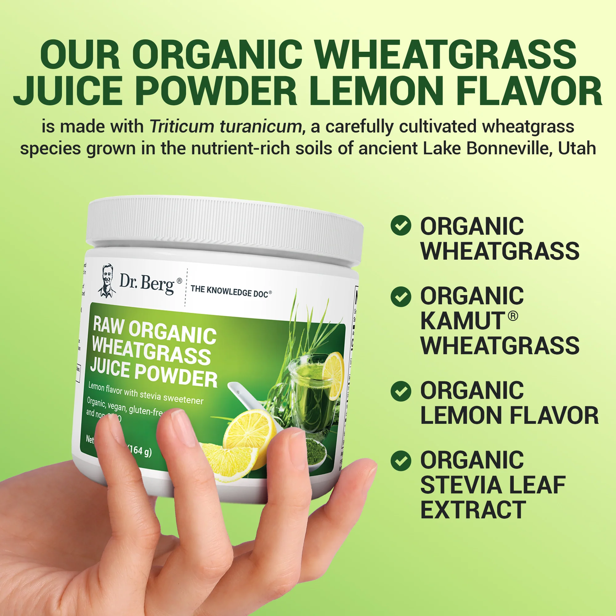 Raw Organic Wheatgrass Juice Powder USDA Organic – Lemon - Image 7