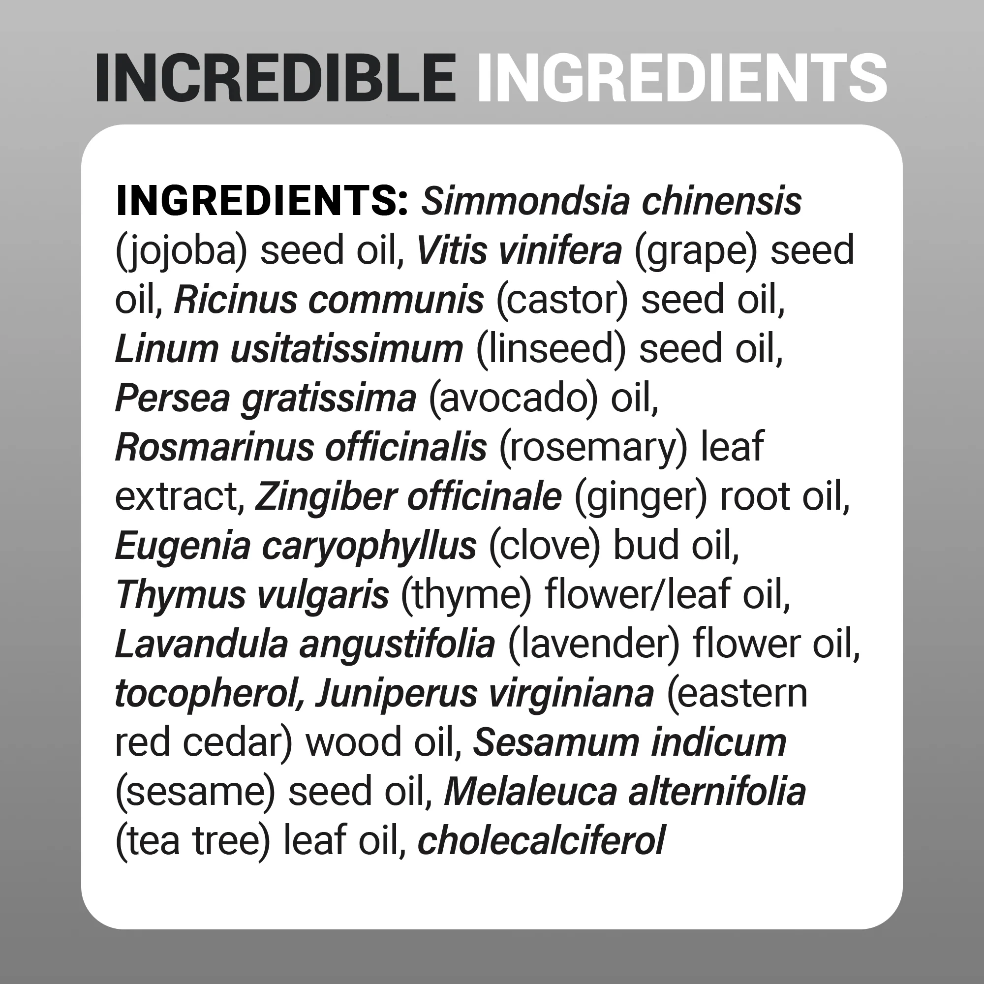 Scalp & Hair Serum – 2 fl oz - Image 2